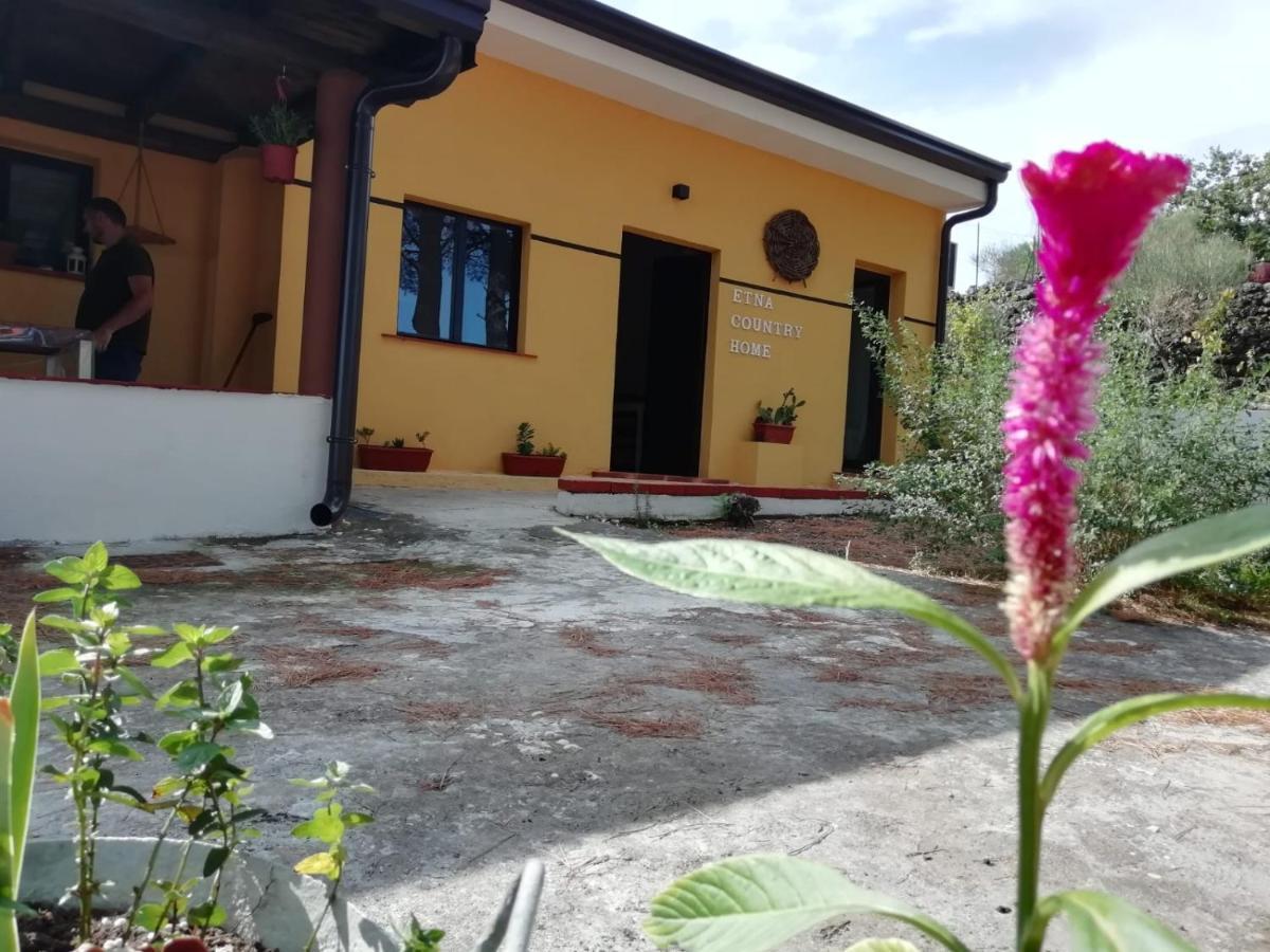 Etna Country Home Nicolosi Dış mekan fotoğraf
